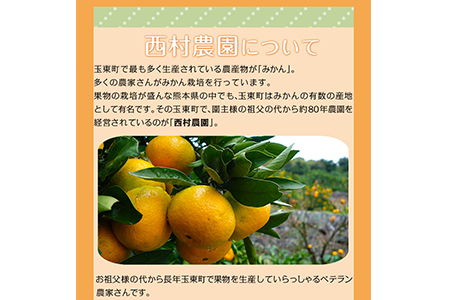 ご家庭用『西村農園』のご家庭用みかん★約5kg(2S-2Lサイズ) 《11月下旬-12月下旬頃出荷》