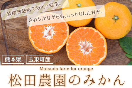 みかん 約5kg (S-2Lサイズ)《11月上旬-12月下旬頃出荷》【日付指定不可】 松田農園