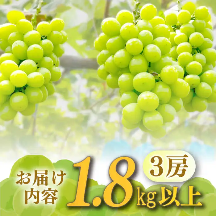 【2027年8月中旬-発送】【数量限定】【糖度18度以上】シャインマスカット 3房 1.8kg以上 / ぶどう ブドウ 葡萄 マスカット しゃいんますかっと フルーツ 果物 / 南島原市 / ミナサポ[SCW072]