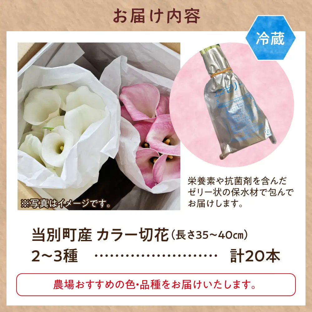 カラー 切花 20本（2～3品種）四季農場《7月上旬-10月中旬出荷》