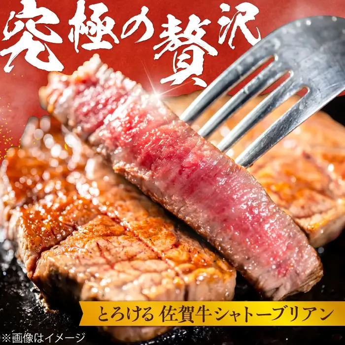 【6回定期便】 佐賀牛 シャトーブリアン 200g×2枚 総量2.4kg 定期便 ヒレ ステーキ しゃとーぶりあん 吉野ヶ里町[FCH017]