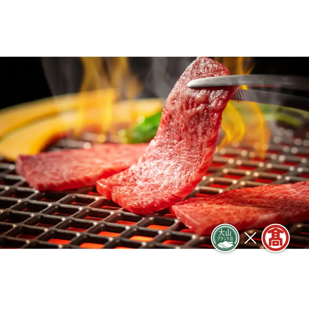 ＜HANAFUSA＞大山黒牛モモ焼肉用(500g)【T-AC4】【大山ブランド会】 【鳥取県 境港市】