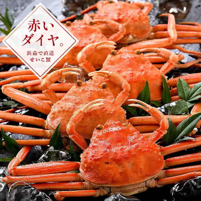 [053-a050]  越前 セイコ蟹 約130g × 5杯 セット