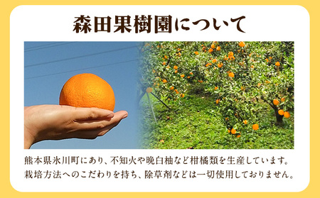 森田果樹園の不知火 10kg 20～32個程度　《2027年2月中旬-4月下旬頃出荷》