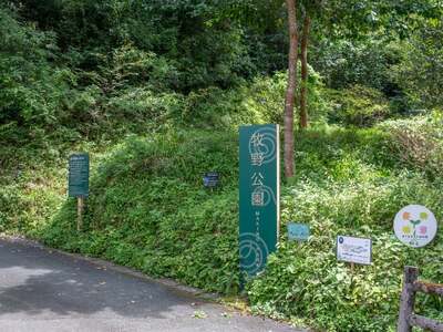 牧野公園ガイドツアー 2時間コース 牧野富太郎ゆかりの植物 説明 10名以下 プライベートツアー案内チケット 山野草 植物 草木 コケオ