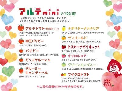 ＜2027年1月～5月頃まで発送＞アルテminiの宝石箱 約1kg×1箱 フルーツトマト 高知県 佐川町 トマトハウスナカムラ【常温】栽培期間中化学農薬・化学肥料不使用 有機JAS　