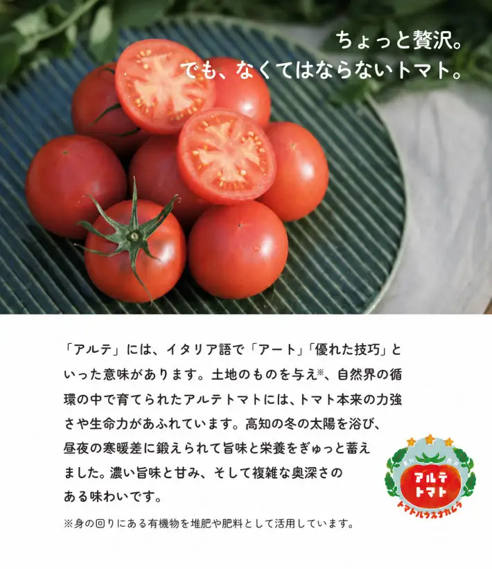 ＜2027年1月から順次発送＞【5回定期便】＜アルテトマト 約800g（10‐16玉）×5箱＞計約4kg フルーツトマト 栽培期間中化学農薬・化学肥料不使用 高知県 トマトハウスナカムラ 有機JAS 【常温】（1～5月頃発送）