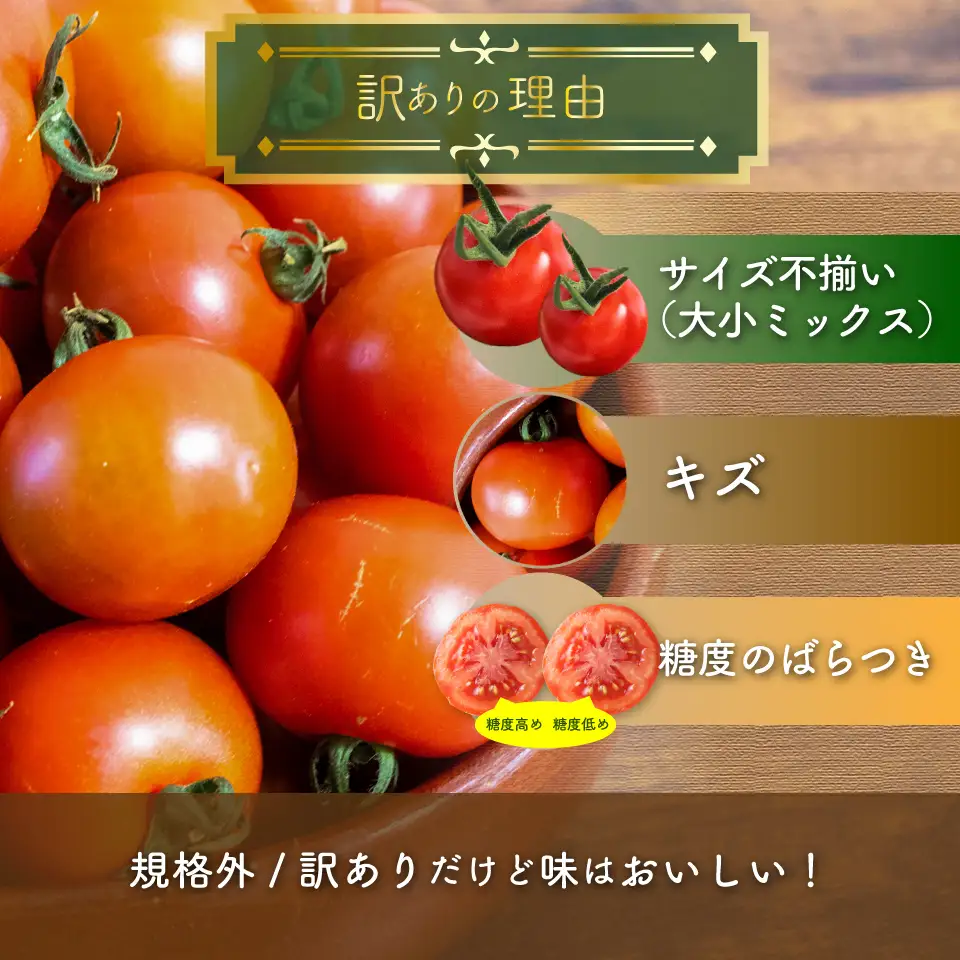 【2027年4月～8月頃発送】＜約1.2kg×3回 定期便＞訳あり アイメック フルティカ トマト＞ましまファーム ミニトマト フルーツトマト  ワケあり 規格外