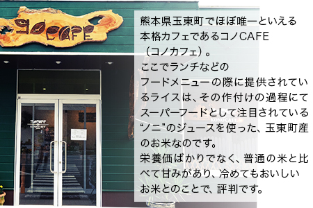 令和6年産  ひのひかり(ノニ米) 10kg(5kg×2袋)コノCAFE《30日以内に出荷予定(土日祝除く)》｜人気米 熊本県産米 お米 生活応援米 st-p st-p