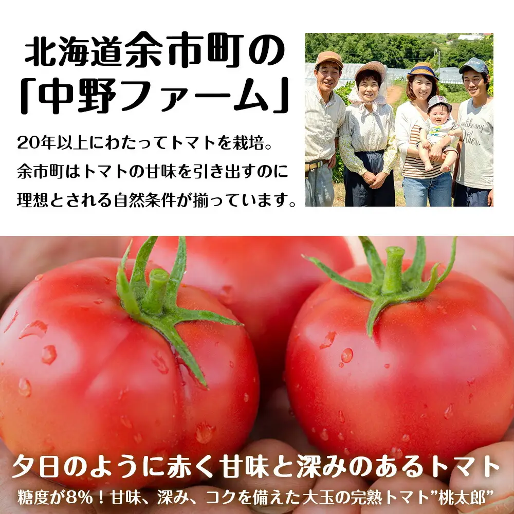 セコマ 北海道余市町産 完熟トマト酎ハイ 350ml×24本_Y020-0663