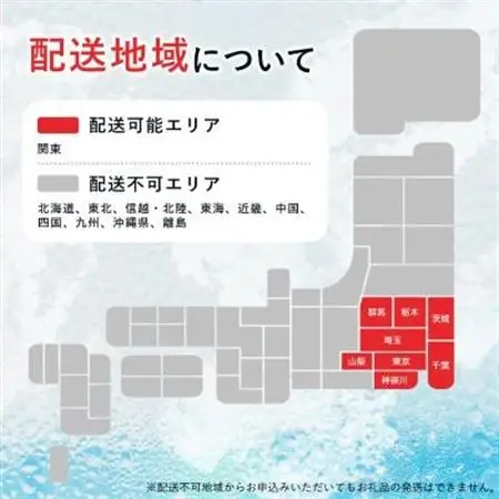 【毎月定期便】【関東のみお届け】 強炭酸水 1L 12本 計12L サーフVOLT(ボルト) 全3回【配送不可地域：離島・北海道・沖縄県・東北・信越、北陸・東海・近畿・中国・四国・九州】【4055699】