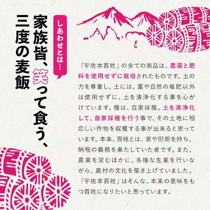 ＜先行予約受付中！2026年11月上旬以降順次発送予定＞＜令和8年産＞しあわせ米 精米(計10kg・5kg×2袋) お米 白米 10キロ 常温 常温保存 【101000702】【宇佐本百姓】