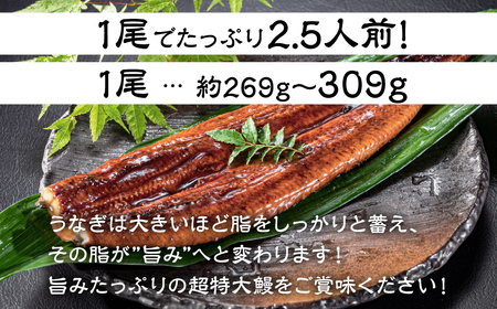 一番うなぎ蒲焼 超特大2尾 国産 うなぎ