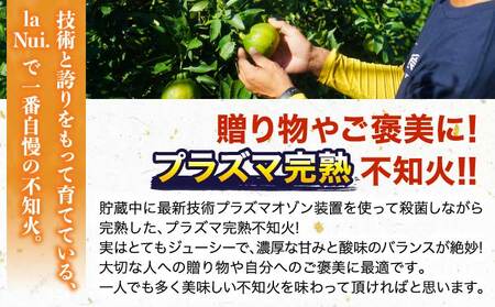 先行予約 不知火 プラズマ完熟熊本大見柑 (不知火) 約5kg（15～22玉）2027年3月上旬から2027年4月中旬発送予定
