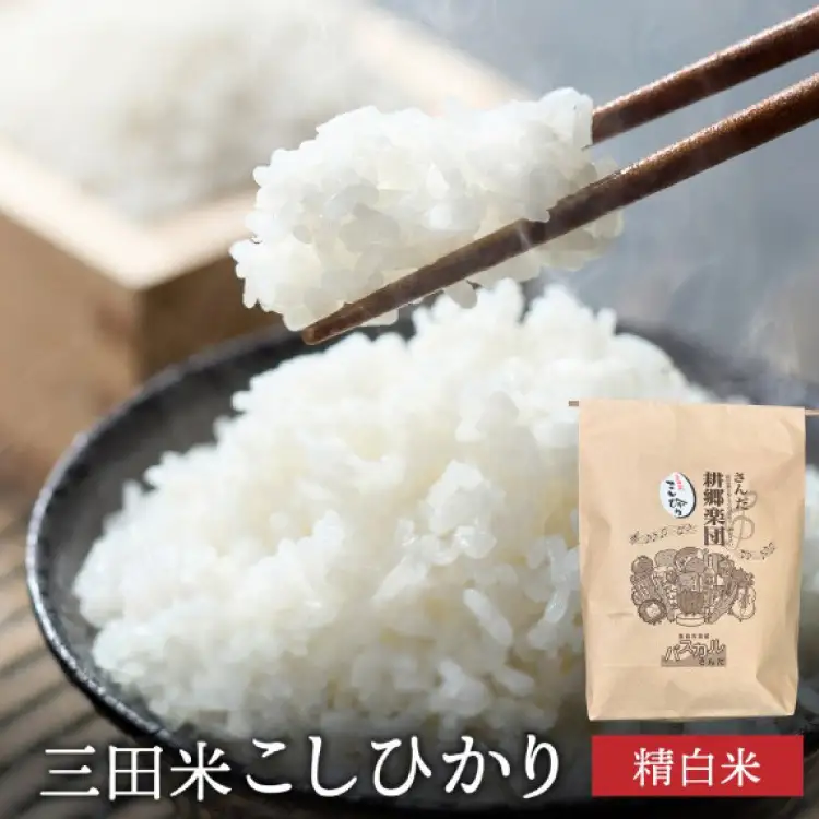 米 12回 定期便 令和8年 三田米 コシヒカリ 5kg