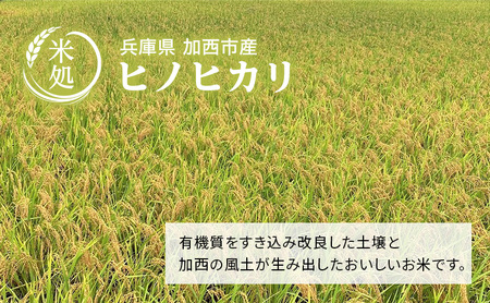 ヒノヒカリ 令和6年産 白米 単一原料米 ヒノヒカリ【3kg×2袋】【予約受付】