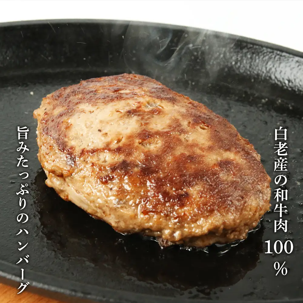 黒毛和種和牛ハンバーグ(白老産)　120g×5枚　計600g