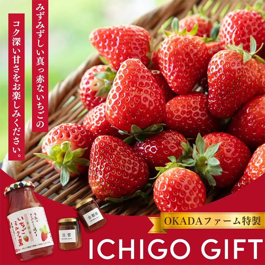 【 贈答用 】古都華 シリーズ ジャム 食べくらべ セット | ジャム いちご 古都華 贈答品 OKADAファーム 