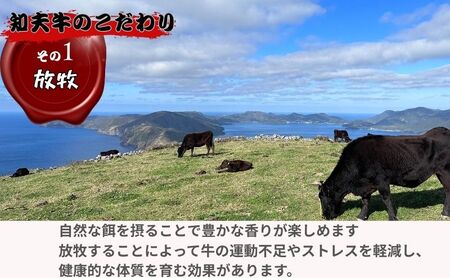 【TBS 「熱狂マニアさん！」で紹介】 経産牛焼肉用バラエティーミックス５００ｇ経産牛 焼き肉 バーベキュー 鉄板焼き 牛肉 黒毛和牛 セット 冷凍