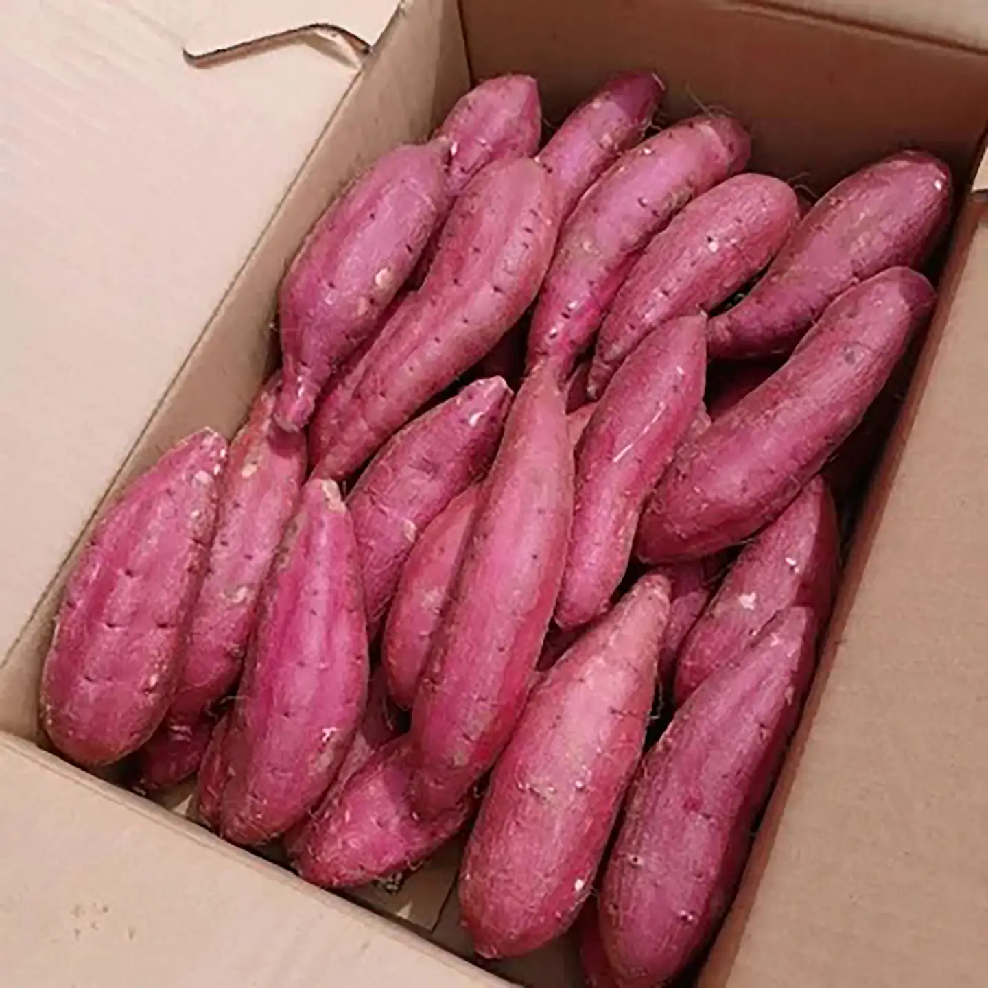 さつまいも 茨城県産 紅はるか 5kg さつまいも
