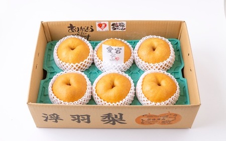【先行予約】佐藤ファーム 愛宕梨 5玉から8玉(約5kg) 2026年11月上旬 出荷予定