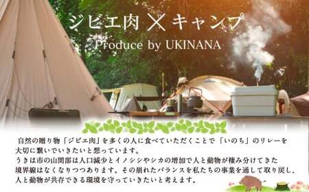 【ジビエ】 天然鹿肉 BBQカット 300g×2パック 天然鹿 鹿肉 シカ肉 赤身 ロース肉 モモ肉 スライス ジビエ ジビエ肉 ジューシー おかず BBQ バーベキュー キャンプ キャンプ飯 ジビエ料理 簡単調理 お取り寄せ 福岡県 うきは市