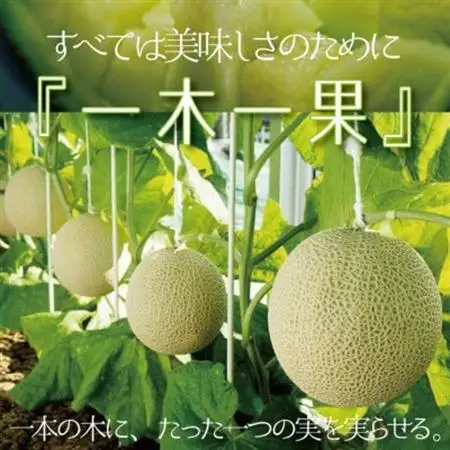 【桐箱入り】クラウンメロン (山等級) 1玉 贈答にもおすすめ 【一年中食べられる!】【配送不可地域：離島・北海道・沖縄県】【1486620】