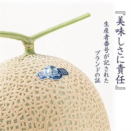 【毎月定期便】アローマメロン(小玉) 2玉 全3回【配送不可地域：離島・北海道・沖縄県】【4013010】