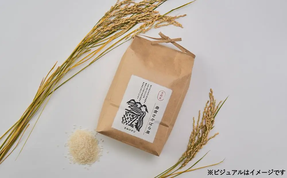 【京都岩倉坂原米作りプロジェクト】〈新米〉京都岩倉さかばら産 きぬひかり(5kg)［ 京都 グルメ おいしい 人気 おすすめ 米 コメ ギフト プレゼント 贈答 お取り寄せ 通販 送料無料 ふるさと納税 ］