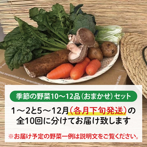 【発送月固定定期便】栽培期間中無農薬＆減農薬『身体が喜ぶ野菜』おまかせ10～12品（下旬発送）全10回 【新鮮 やさい ベジタブル 安心 安全 おいしい ランダム】（KBE-115）