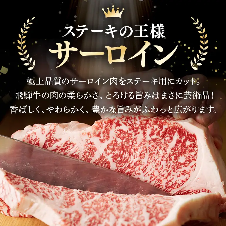 牛肉 ステーキ 飛騨牛 500g 250g×2 選べる 配達日