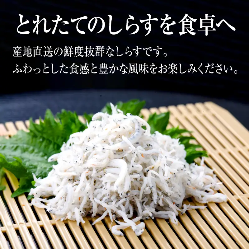 釜揚げ しらす 2kg 兵庫県産 /  しらす