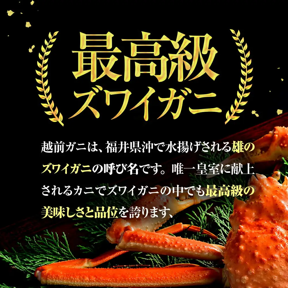 【先行予約/11月7日より順次発送】【希望月指定可】 越前がに 600ｇ×1ハイ  / 蟹 ズワイガニ ずわいがに ボイル 冷蔵 小浜市 / まるほ商店 【配送不可地域：北海道・沖縄・離島】[BFCS018]