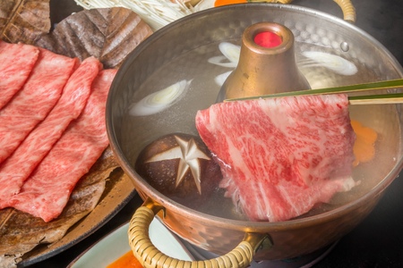 佐賀牛ローススライス400g＆佐賀牛ハンバーグ100g×6個セット