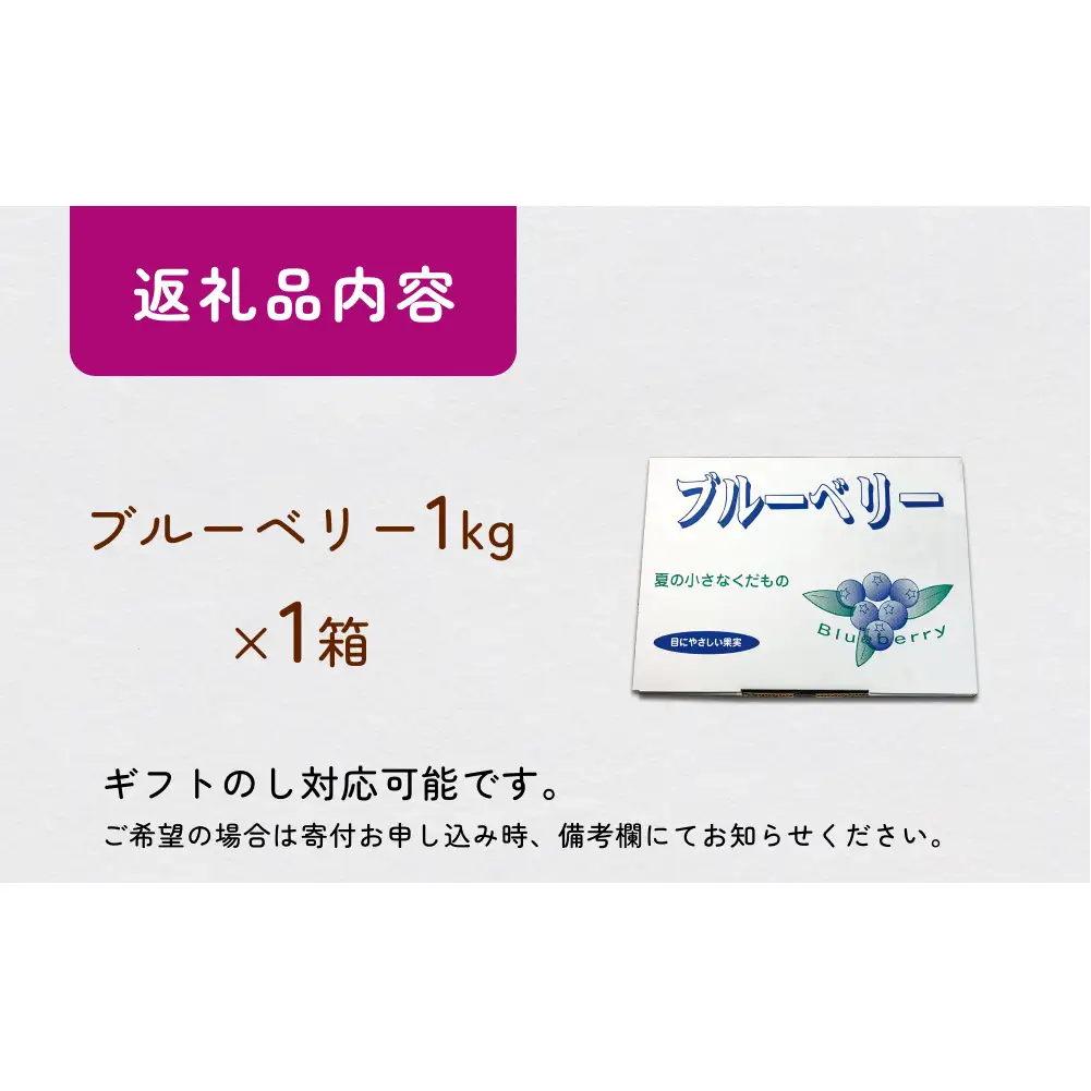 ＜ 先行予約 ＞ ブルーベリー ( 1kg ) 箱入り 生 無農薬 化学肥料不使用 摘みたて 冷蔵 大粒 濃厚 フルーツ 果物