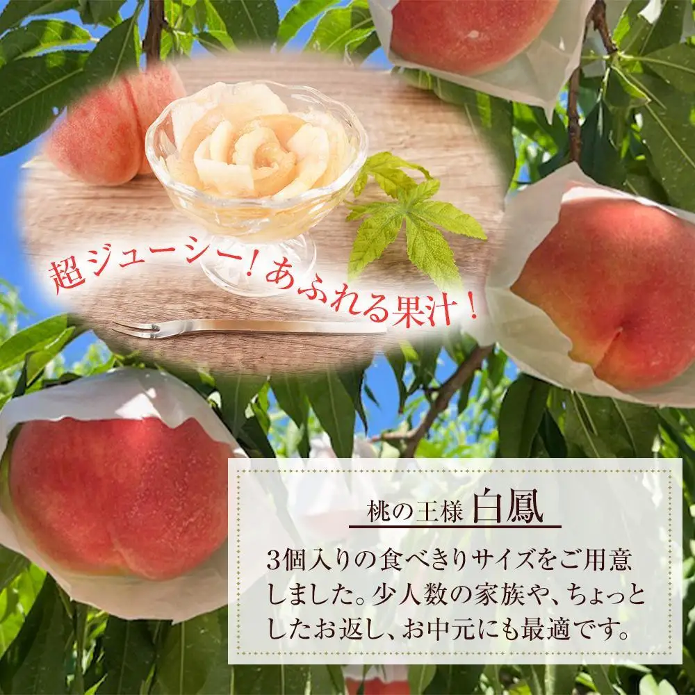 先行販売！［モモ］ 白鳳　桃の王様！食べきりやすい３個入り［2027年6月下旬頃より順次発送］［秀品］こだわり農家厳選 ［KG17］