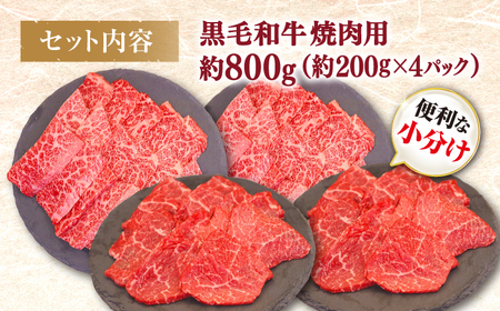 黒毛和牛 焼肉【 BBQ などにピッタリ！】 西海市産 黒毛和牛 焼肉用 2種盛り 約800g（約200g×4パック） ＜ミクリヤ畜産＞ [CFD022]  長崎 西海 黒毛和牛 和牛 焼肉 BBQ 焼肉 贈答 ギフト 焼肉 黒毛和牛