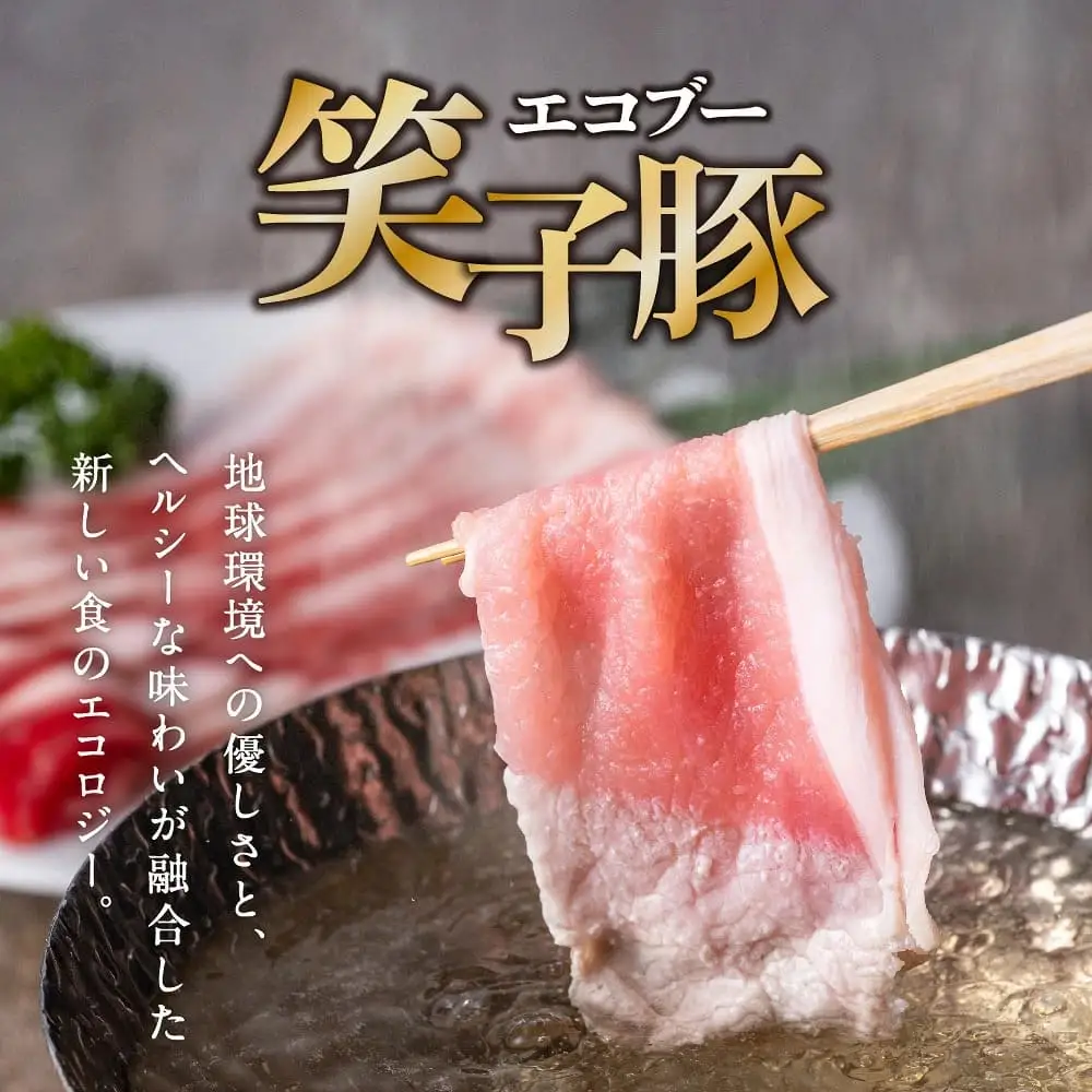 豚肉 ロース 小分け スライス 500g (250g×2) 真空パック 冷凍 笑子豚 肩ロース肉 豚肩ロース 焼き肉 炒め物 岩手県 金ケ崎町
