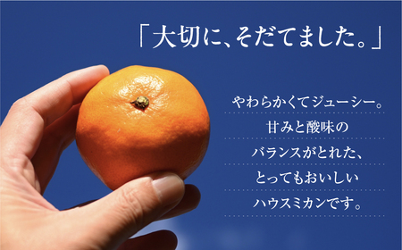 ハウスみかん 5kg 家庭用 笑和園 みかん