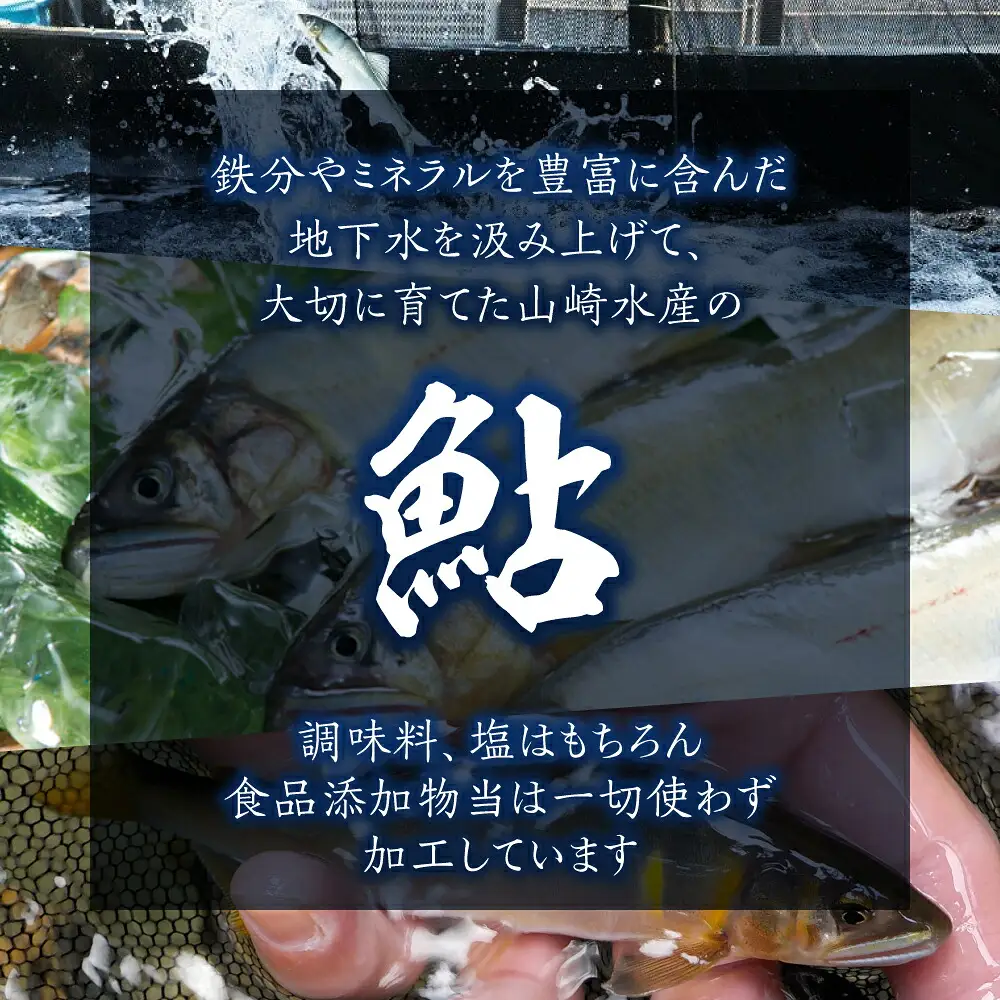 豊橋鮎おやつ ペット用 12パック 鮎 鮎