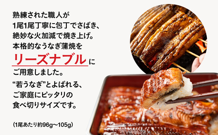 国産若うなぎ 3尾 蒲焼 うなぎ