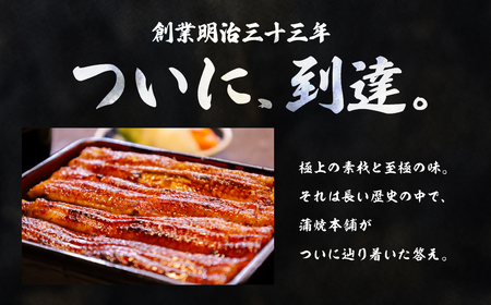 国産うなぎ蒲焼 中8尾 うなぎ