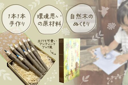 森のいろえんぴつ 10色（色鉛筆 色えんぴつ