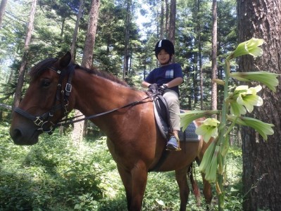 乗馬 体験 まきば軽井沢 ほっこり50分 乗馬体験 1名様 長野 信州 小諸 大自然 体験チケット 