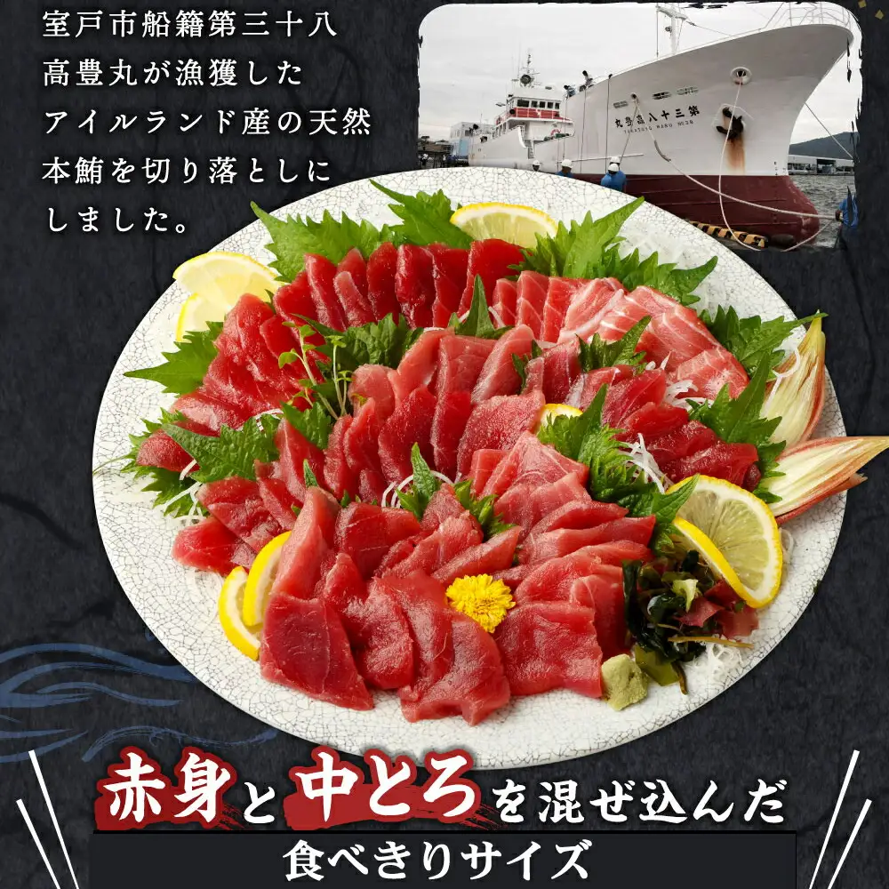 【定期便 / ３ヶ月連続】 天然本マグロ (赤身・中とろ) 切り落とし 合計１．２㎏  (100g×4パック×３回) マグロ 刺身 刺し身 魚 惣菜 海鮮丼 魚介類 食べきりサイズ 小分け 冷凍 訳あり 不揃い 傷 規格外 定期 連続 30000 頒布会