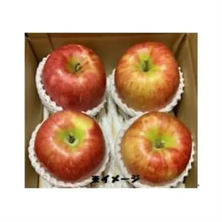 岩手県岩泉町産　りんご2品種(サンふじ・大夢)食べくらべ! 1.5キロ(約4個)_果物・フルーツ りんご  リンゴ 林檎_【1542938】
