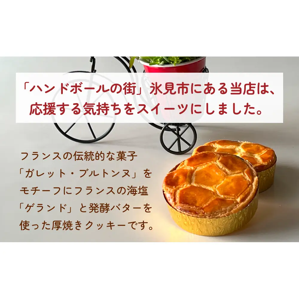 ハンドボールガンバレ！ット 8個 富山県 氷見市 ガレットブルトンヌ 焼き菓子 おやつ ハンドボール