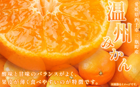 【先行予約】＜【訳あり】温州みかん 約5kg 数量限定 産地直送＞ ワケアリ 家庭用 みかん ミカン うんしゅうみかん ウンシュウ 蜜柑 柑橘 フルーツ 果物 果実 くだもの 特産品 旬 玉やま農園 愛媛県 西予市【常温】『2026年11月上旬～12月迄に順次出荷予定』MTN0006
