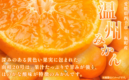 ＜【訳あり】温州みかん（南柑20号）約5kg 数量限定 産地直送＞ ワケアリ 家庭用 みかん ミカン うんしゅうみかん ウンシュウ なんかん 蜜柑 柑橘 フルーツ 果物 果実 くだもの 特産品 旬 玉やま農園 愛媛県 西予市【常温】『2024年12月から順次出荷予定』MTN0007