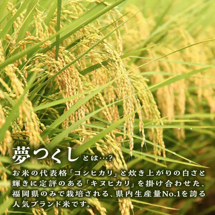 糸島産 夢つくし 20kg 糸島市 / 三島商店 [AIM074]